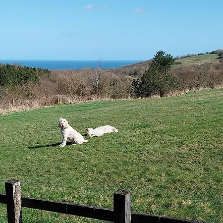 Meadowbeck - Shepherd Huts Fylingdales