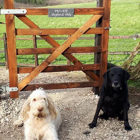 Кемпинг Meadowbeck - Shepherd Huts *