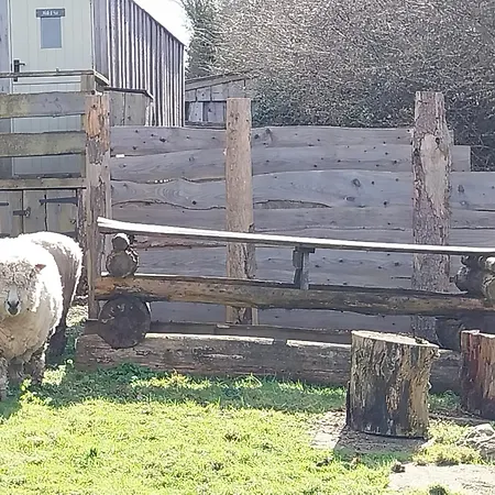 Meadowbeck - Shepherd Huts