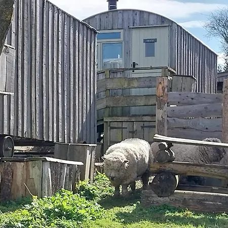 Meadowbeck - Shepherd Huts Fylingdales