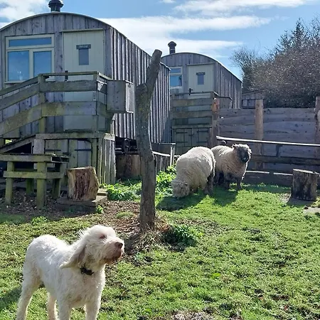 Campsite Meadowbeck - Shepherd Huts Fylingdales