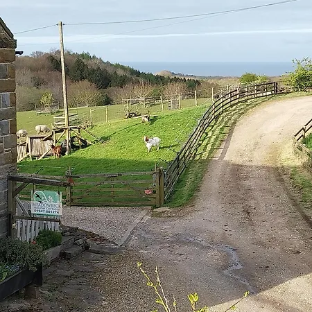 Campsite Meadowbeck - Shepherd Huts *