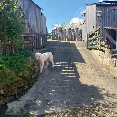 Campingplatz Meadowbeck - Shepherd Huts Fylingdales