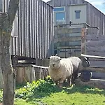 Meadowbeck - Shepherd Huts Fylingdales